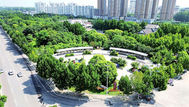 秋光瞰游園